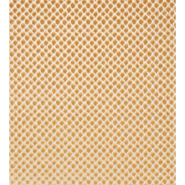 The House of Scalamandré Etosha Velvet Fabric, Palomino For Sale