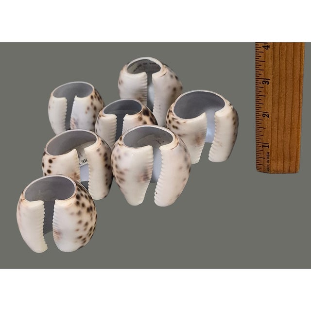 Vintage Nautical Sea Life Table Decor Seven Tiger Cowrie Shell Napkin Rings For Sale - Image 6 of 7