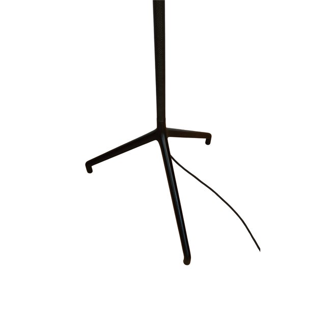 Lola Floor Lamp by Meda and Rizzato for Luceplan, 1980s For Sale - Image 4 of 5