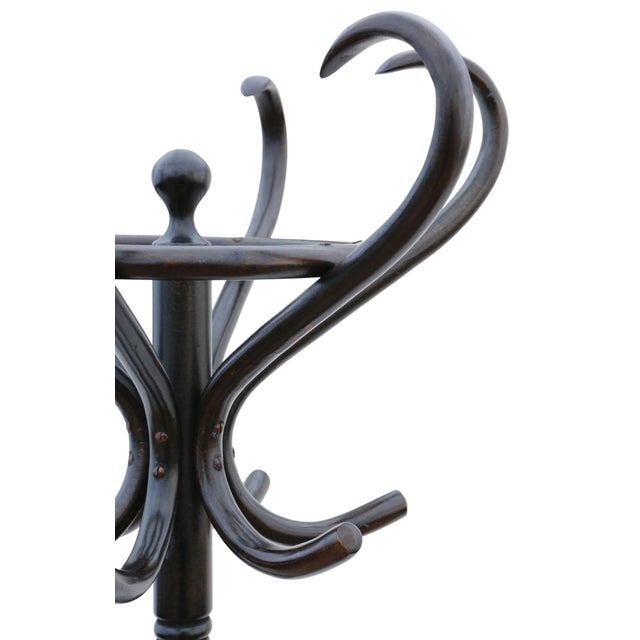 Antique Ebonised Bentwood Hallway Coat Rack with Hat, Stick and Umbrella Stand, 1920s For Sale - Image 3 of 6