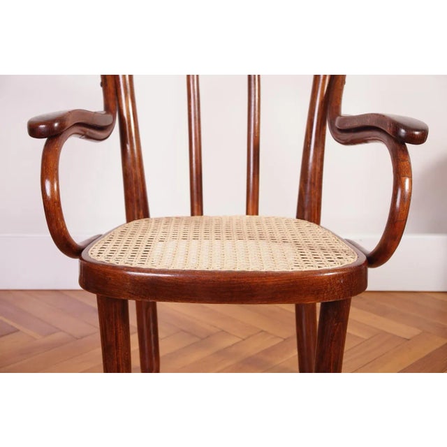 Wood Vintage Children's Chair Model Z 2F From Thonet, 1930s For Sale - Image 7 of 18