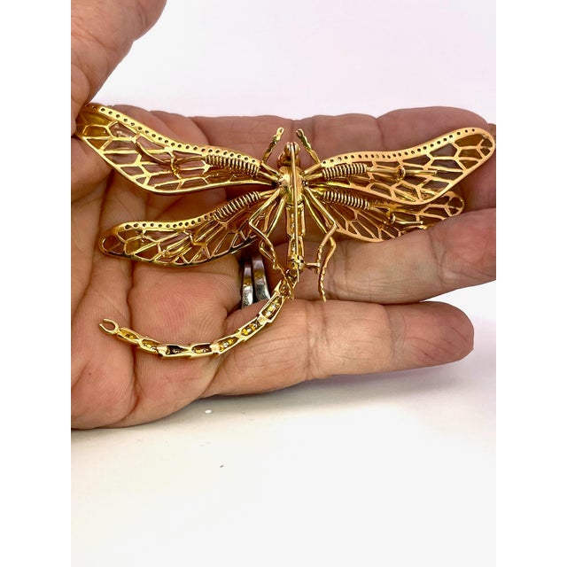 1910s Antique Plique-À-Jour Dragonfly Brooch With Gold and Gemstones For Sale - Image 5 of 15