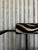 Trix Chairs by Karl-Friedrich Förster for KFF, 1980s, Set of 4 For Sale - Image 10 of 18
