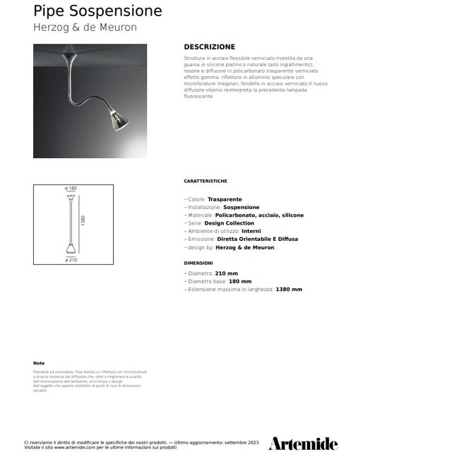 Pipe Adjustable Fluorescent Pendant Lamp by Herzog & De Meuron for Artemide, 2002 For Sale - Image 17 of 18
