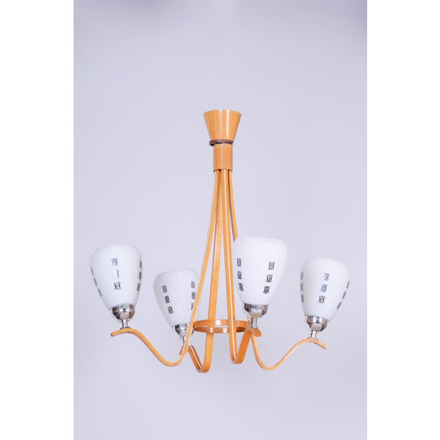 Mid-Century Chandelier in Beech and Glass by Dřevo Humpolec, Czech, 1960s For Sale - Image 12 of 12
