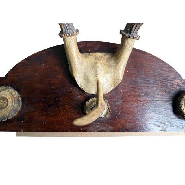 Cabin 1900s Antler Rack Hanging German Hat For Sale - Image 3 of 5