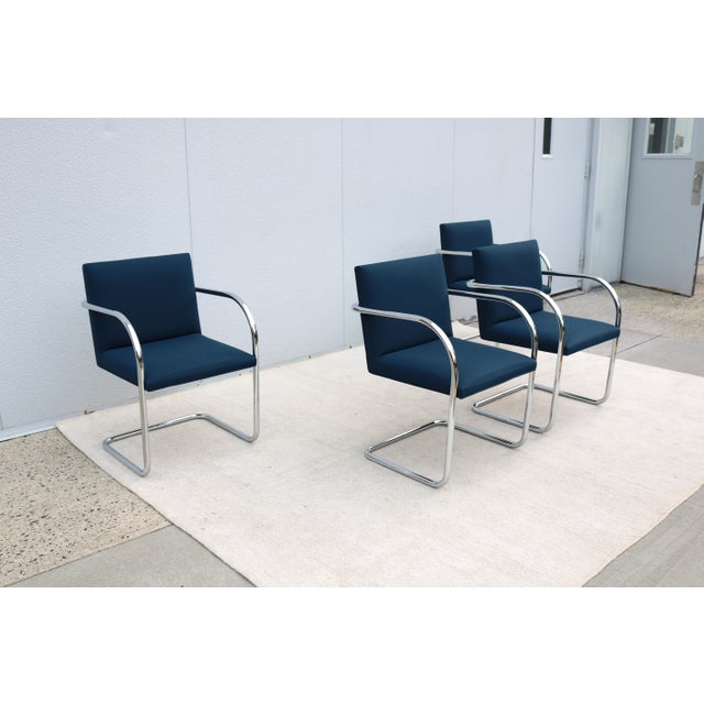 2010s Ludwig Mies Van Der Rohe Brno Tubular Chairs in Royal Blue Fabric by Gordon - Set of 4 For Sale - Image 5 of 18