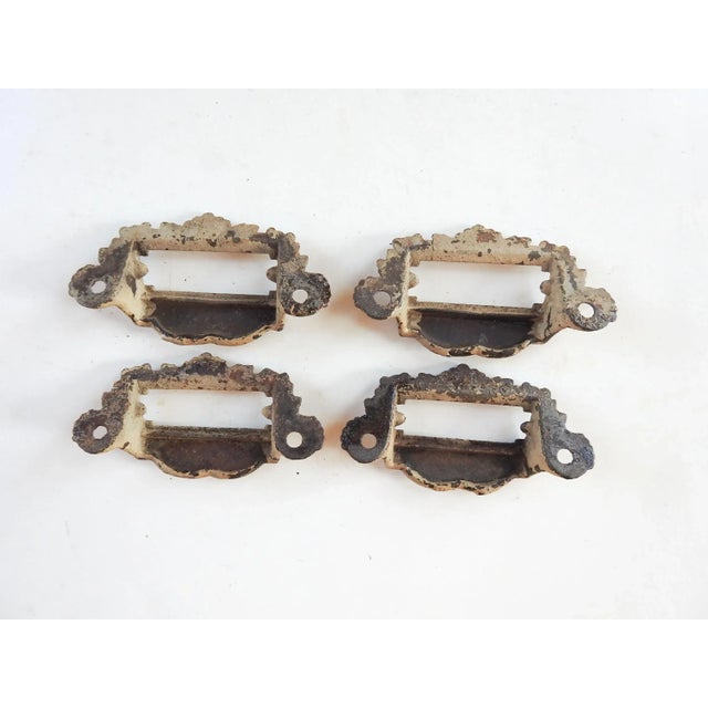 Antique Iron Apothecary Cabinet Pulls - Set of 4 For Sale - Image 4 of 5