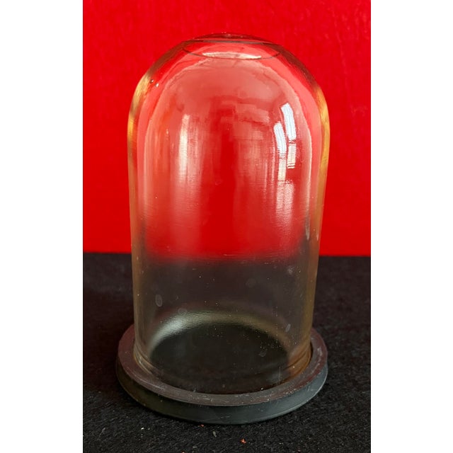Goldenrod Vintage Industrial Brass Lamp with Cage and Glass Diffuser, 1950s For Sale - Image 8 of 13