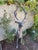 1980s Bronze Stag and Doe Garden Sculptures, Pair For Sale - Image 9 of 10