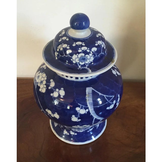 19th Century Chinese Blue & White Porcelain Prunus or Hawthorne Urn For Sale - Image 4 of 11