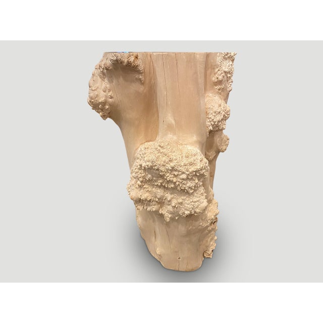 Andrianna Shamaris Rare Bleached Teak Root Pedestal For Sale - Image 9 of 18