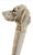 Ivory Vintage Figural Dog Head Magnifying Glass For Sale - Image 8 of 13