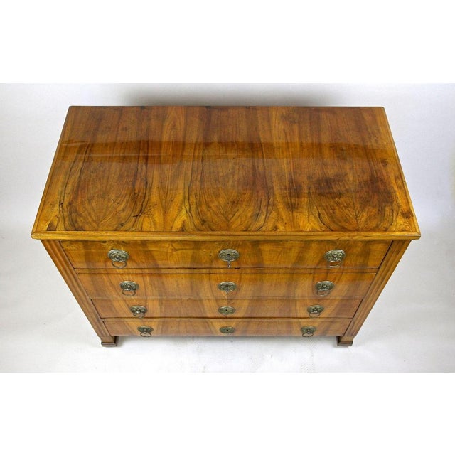 Early 19th Century Antique Biedermeier Chest of Drawers, Austria, 1830 For Sale - Image 5 of 18