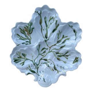 Porcelain Oyster Plate With Seaweeds Limoges, Circa 1900 For Sale