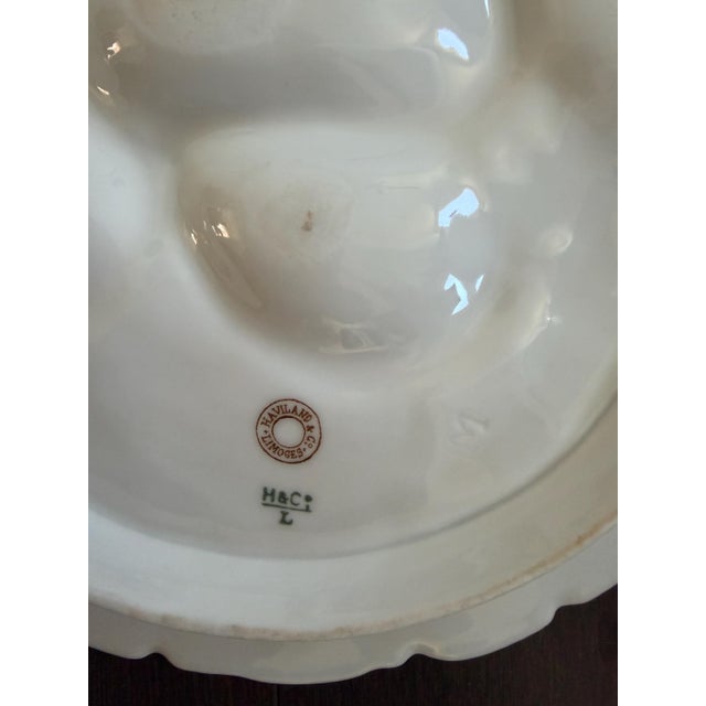 Set/6 Rare Antique French Haviland & Co. Limoges Porcelain Turkey Pattern Oyster Plate 8.75" With Sea Creatures For Sale - Image 10 of 16