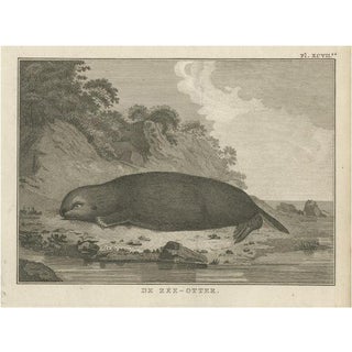 J. Cook, Sea Otter, 1803 For Sale