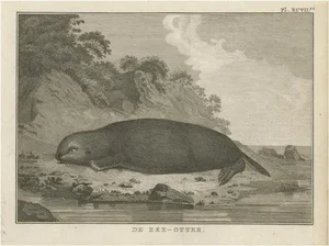 J. Cook, Sea Otter, 1803
