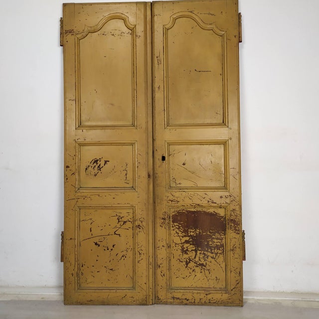 Louis XV Closet Doors, Set of 2 For Sale - Image 14 of 14
