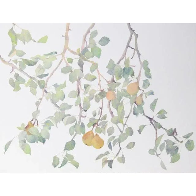 Figurative 1980s "Pear Tree" Lithograph by Susan Headley van Campen For Sale - Image 3 of 3