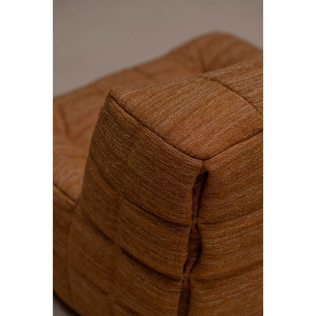 Kashima Easy Chairs by Michel Ducaroy for Ligne Roset, 1973, Set of 2 For Sale - Image 15 of 16
