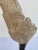 Tan Distressed Neoclassical Wood Carved Wings on Iron Bases, Italy, 1900s For Sale - Image 8 of 8