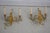 1980s Pair of French Style Brass & Glass Chandelier Type Wall Sconces For Sale - Image 4 of 9