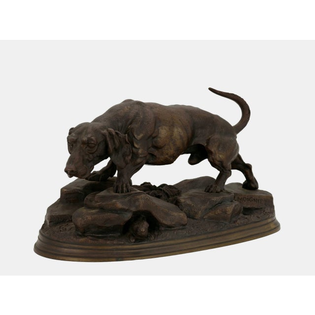 Jules Moigniez (1835 Senlis - 1894 St-Martin-du-Tertre), Hunting dog on the prowl, around 1880. Dark patinated bronze with...