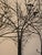Mid Century Winter Trees With Birds Wall Sculpture C Jere For Sale - Image 12 of 17