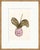 Not Yet Made - Made To Order Botanical Studies by Susan Hable, Set of 6 For Sale - Image 5 of 6