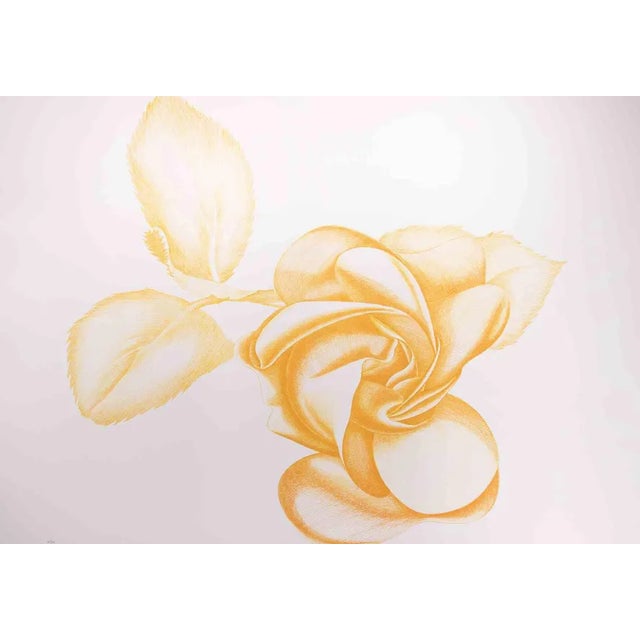 Giacomo Porzano, Yellow Rose, Original Etching, 1972 For Sale