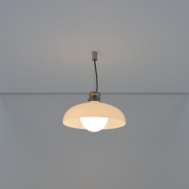 Murano Pendant Lamp by Alessandro Pianon for Vistosi, 1960s For Sale - Image 18 of 18