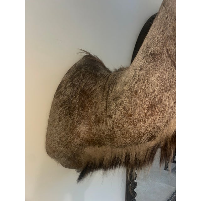 African Vinatge African Kudu Taxidermy Shoulder Mount-Very Large For Sale - Image 3 of 9