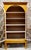 Metal Antique Regency Ochre Astral Glazed Display Cabinet, 1820 For Sale - Image 7 of 9