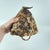 Textile Early 20th Century Lega Bwami Society Button Hat For Sale - Image 7 of 7