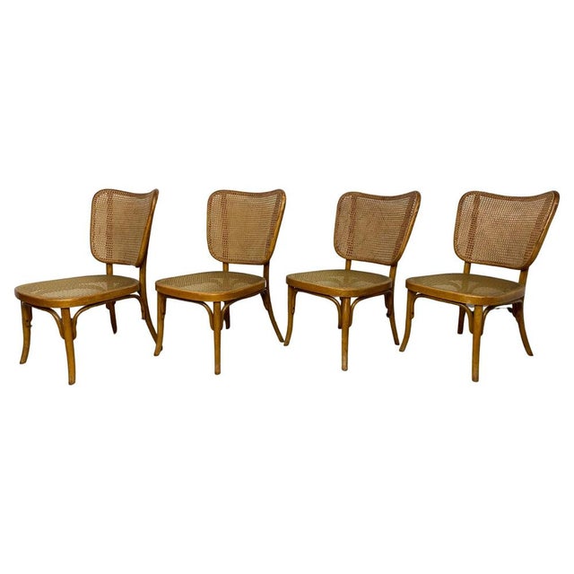 Model A821 Chairs attributed to Adolf Gustav Schneck for Thonet Mundus, 1930s, Set of 4 For Sale - Image 18 of 18