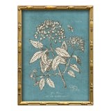 Vintage Blue Botanical Art Print Reproduction (4), Framed For Sale