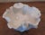 China Blanc De Chine White Porcelain Dehua Lotus Lily Pad Bowl For Sale - Image 4 of 11