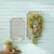 Modern Woven Wood Wall Hanging (Set of 2) For Sale - Image 3 of 3