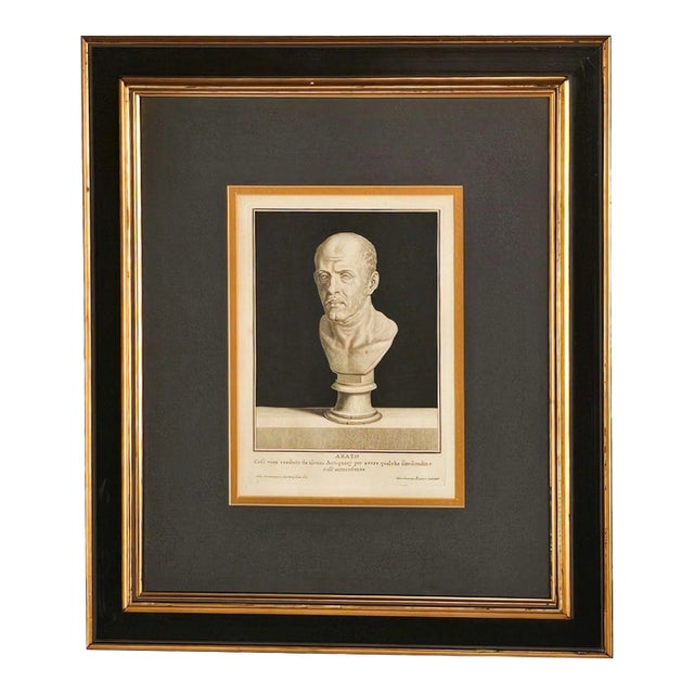 "Arato", Italy, 18th Century For Sale