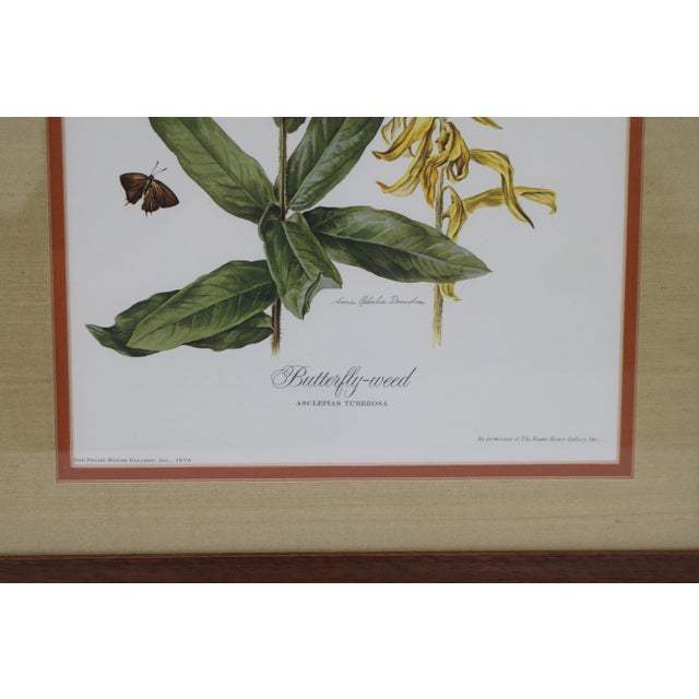 1970 Framed Under Glass Botanical Print Butterfly Weed For Sale In Cincinnati - Image 6 of 11