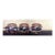 Duke Windsor, "Sliders, Three", Impressionist Still Life Painting With Gold Leaf For Sale