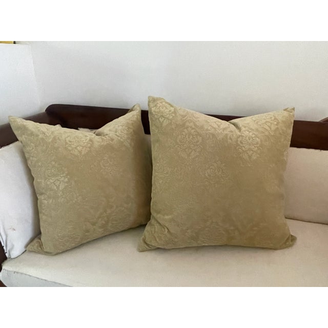 Heavy feathers down filled 21” square pillows in cut velvet.