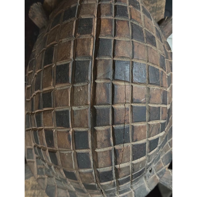Antique Hand Carved Folk Art Turtle Sculpture For Sale - Image 10 of 12