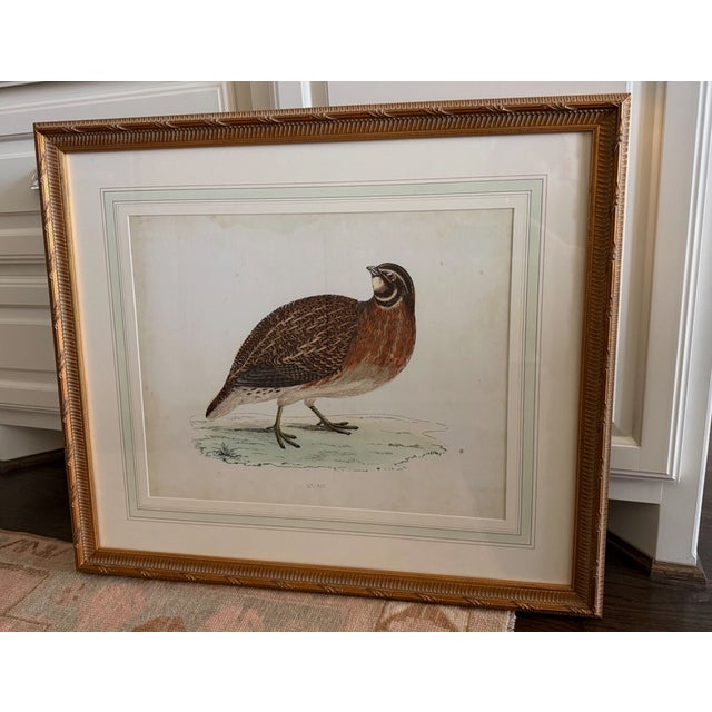 2010s Chelsea House Giclée Prints – Pair – Barbary Partridge & Quail Birds Gold Framed For Sale - Image 5 of 5