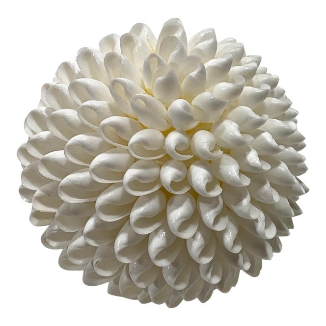 Vintage White Sea Shell Decorative Ball For Sale