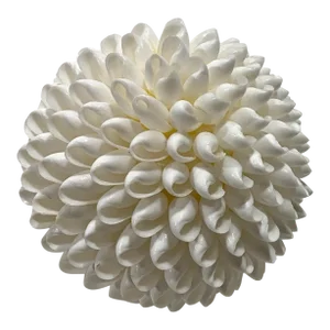 Vintage White Sea Shell Decorative Ball