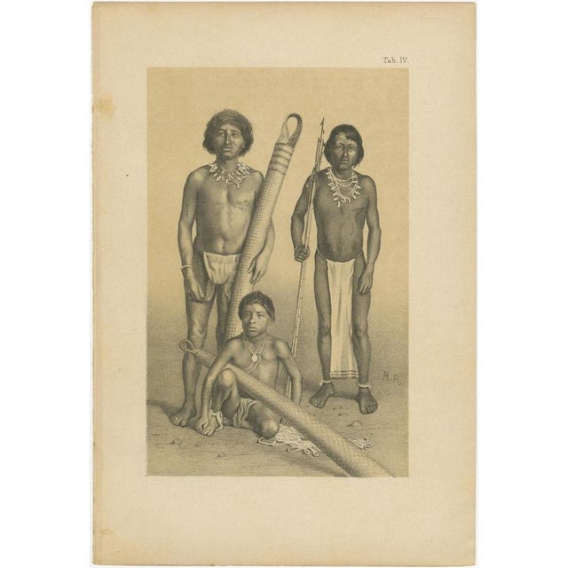 Suriname indigenous people & tribal objects ethnographic lithographs 1888 this rare and highly evocative three-plate...