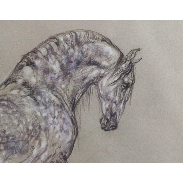 Equine Elegance: Original Pastel of Andalusian Stallion by Leslie Charlotte Benenson Dated August 20, 1995 This striking...