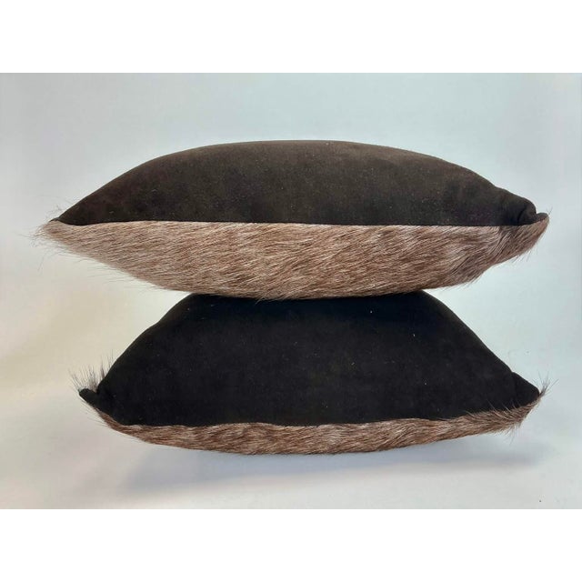 Pair of hair-on-hide pillows, each with corner to corner ombre brown hair, dark brown suede to reverse, fixed inserts....